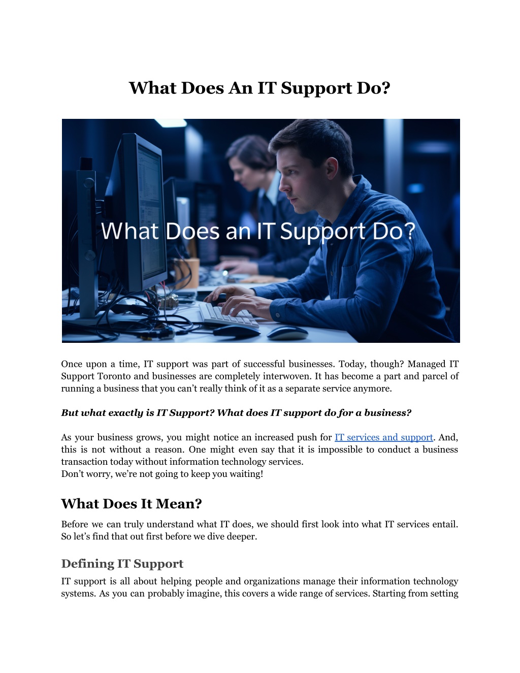 what does an it support do l.w