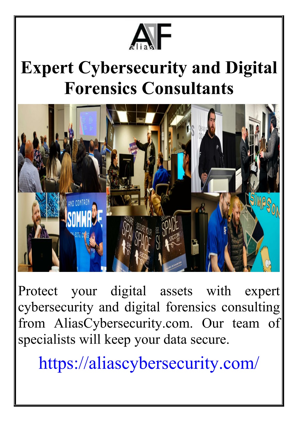 expert cybersecurity and digital forensics l.w