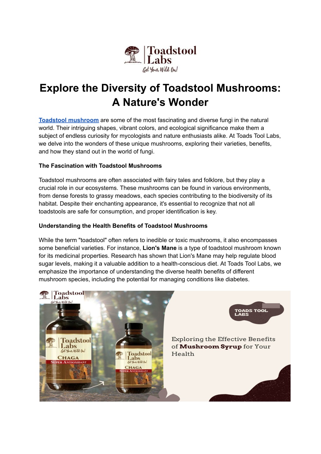 explore the diversity of toadstool mushrooms l.w