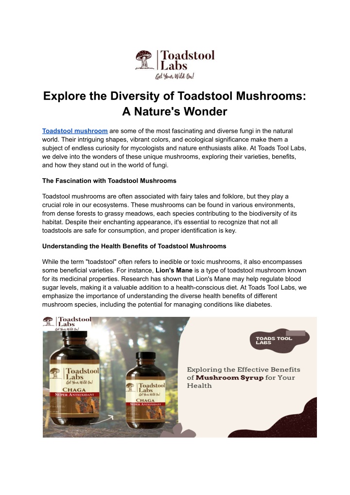 explore the diversity of toadstool mushrooms n.w