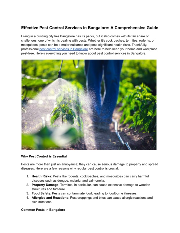 effective pest control services in bangalore n.w