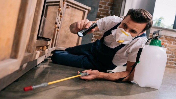 Residential Pest Control Company Stuart