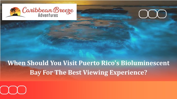 When Should You Visit Puerto Rico's Bioluminescent Bay For The Best Viewing Experience