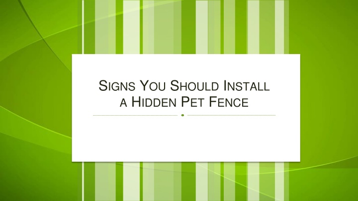 Signs You Should Install a Hidden Pet Fence