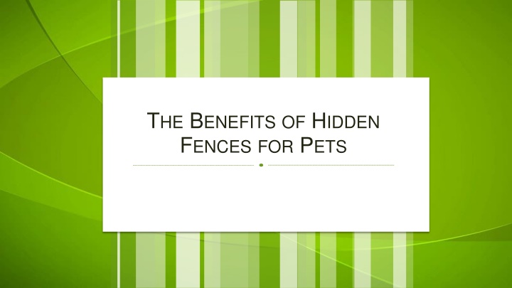 The Benefits of Hidden Fences for Pets