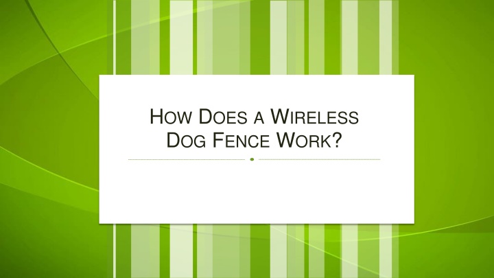 How Does a Wireless Dog Fence Work
