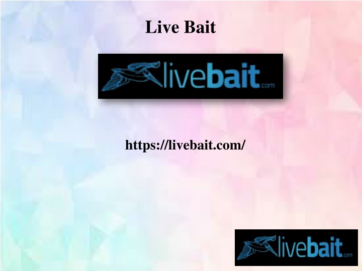 Best 8 Foot Cast Fishing Net, livebait.com