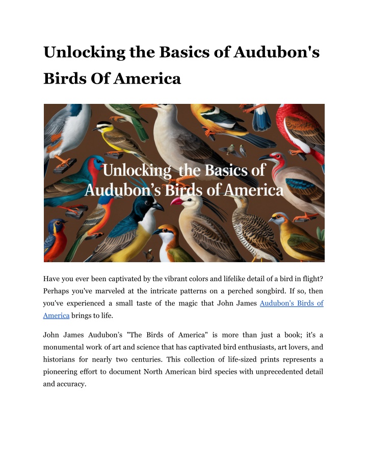 unlocking the basics of audubon s n.w