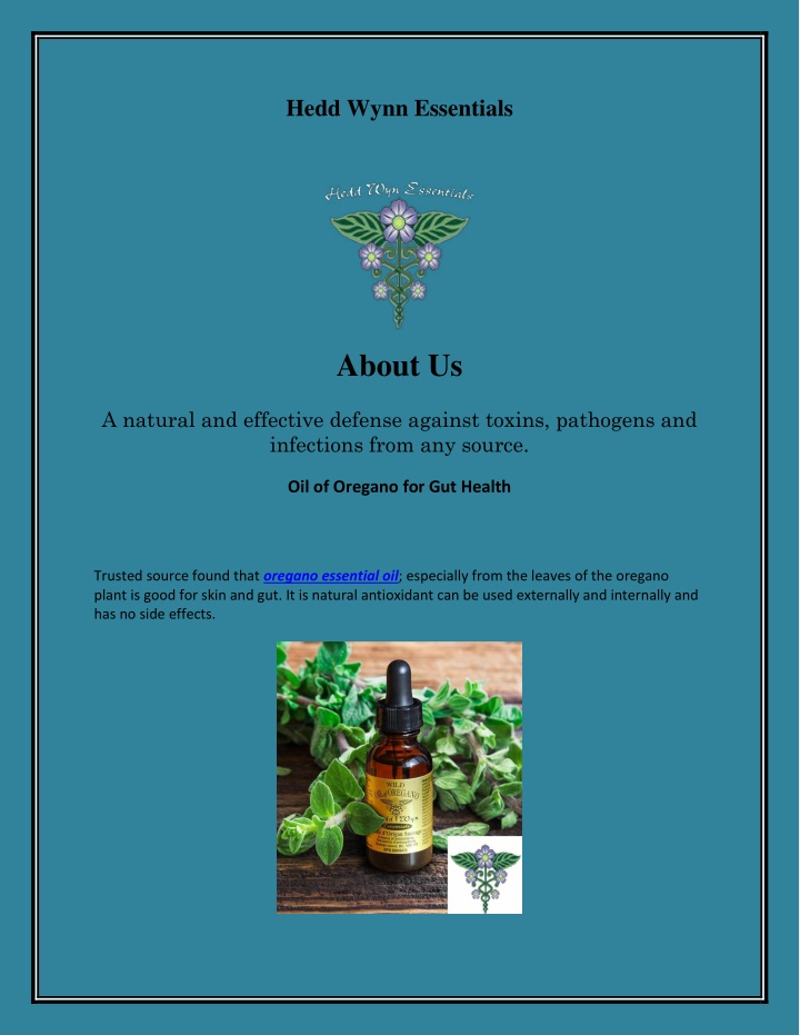 hedd wynn essentials n.w
