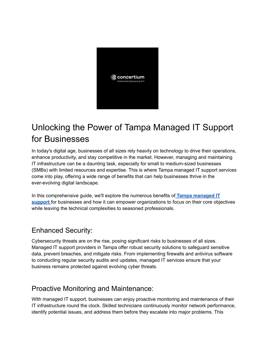 unlocking the power of tampa managed it support n.