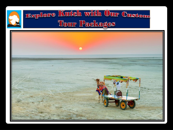 Explore Kutch with Our Custom Tour Packages