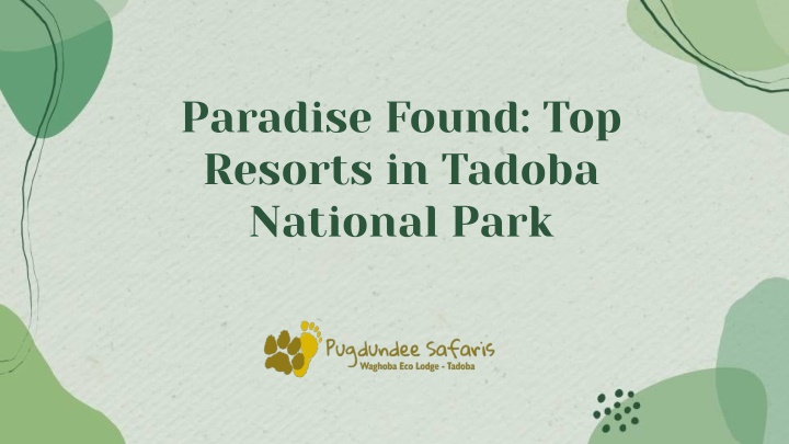paradise found top resorts in tadoba national park n.w