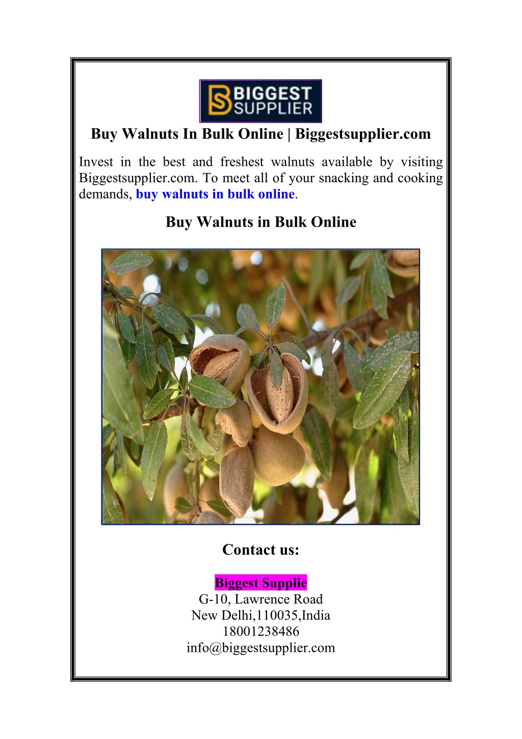 buy walnuts in bulk online biggestsupplier com l.w