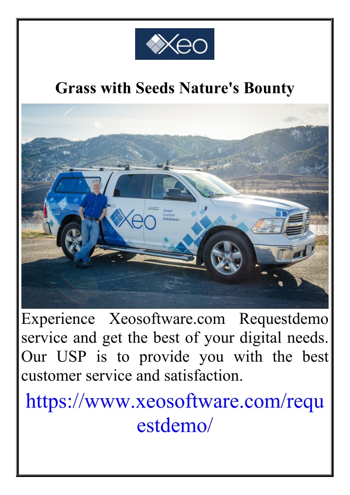 grass with seeds nature s bounty n.w