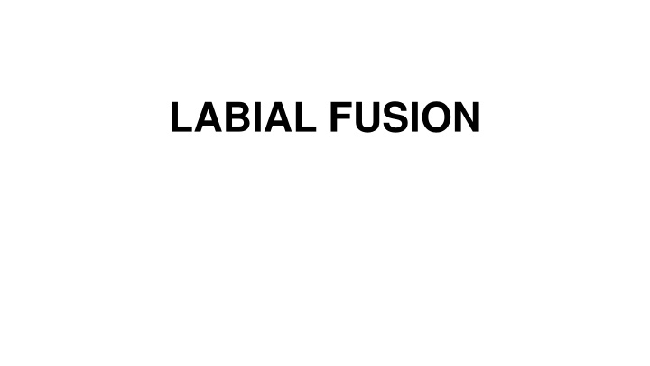 Labial Fusion: Causes, Symptoms, and Treatment
