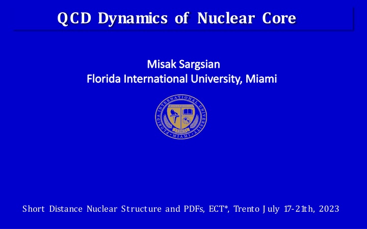 Insights into Nuclear Core Dynamics and Structure