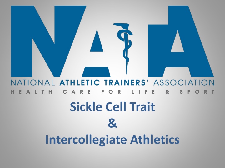 Sickle Cell Trait in Intercollegiate Athletics