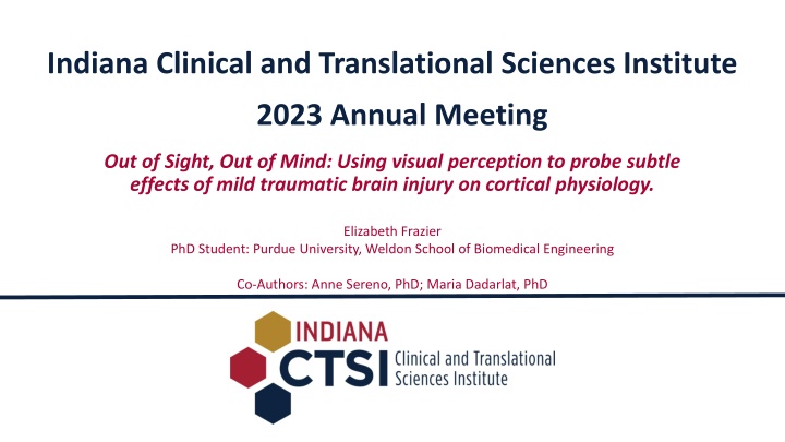 Investigating Visual Perception Effects of Mild Traumatic Brain Injury