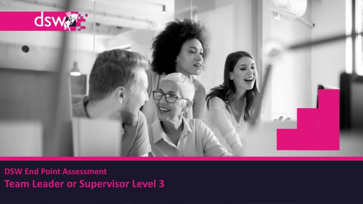 Overview of DSW End Point Assessment Team Leader Level 3