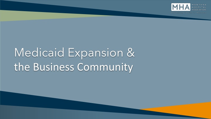 Medicaid Expansion and Business Community Impact