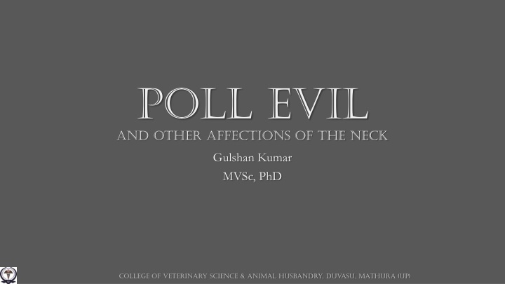 Poll Evil and Yoke Gall in Horses: Symptoms and Treatment
