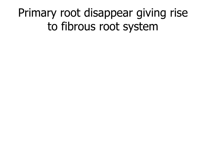 Plant Classification and Nomenclature Explained