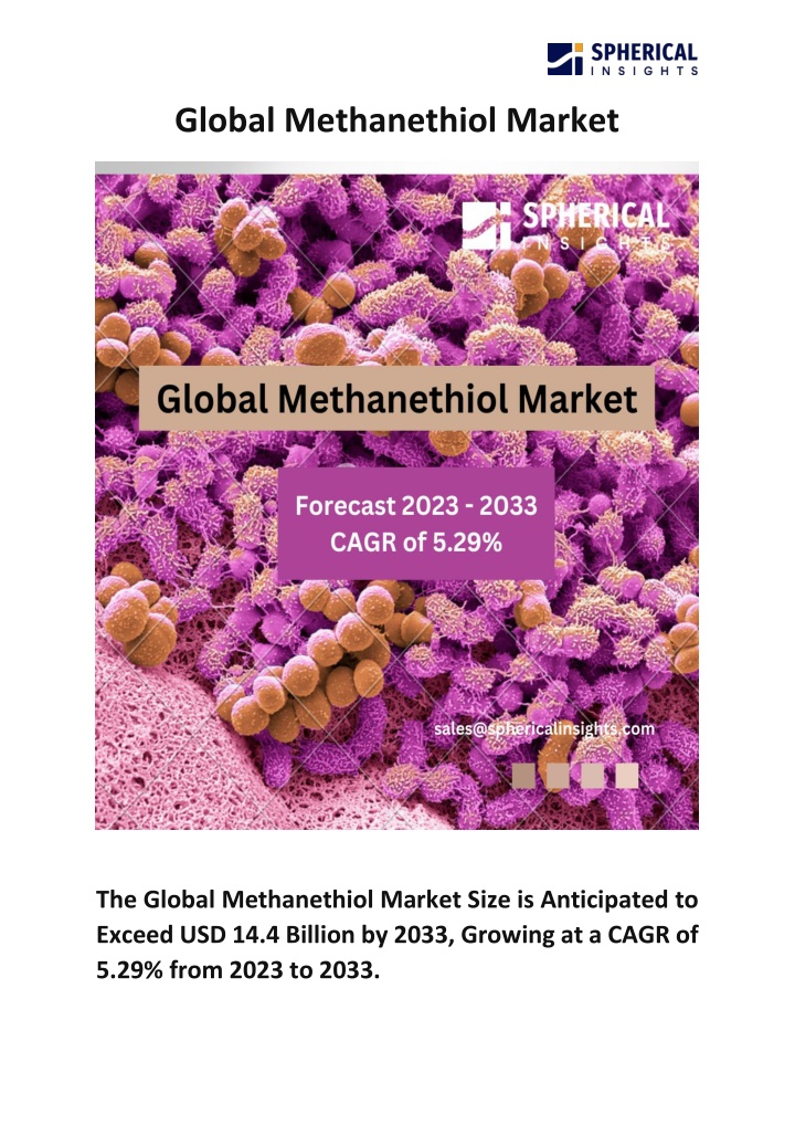 global methanethiol market n.w