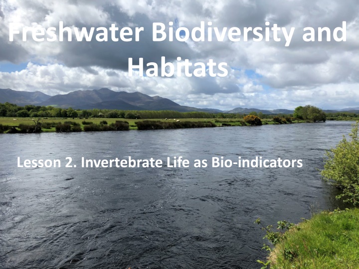 Freshwater Biodiversity: Invertebrate Bio-indicators