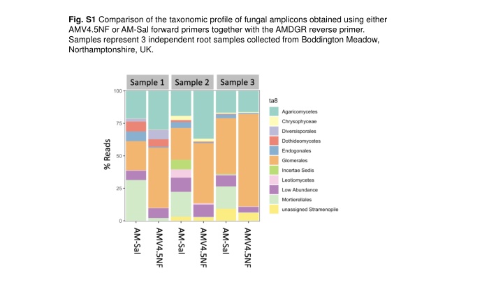 Fungal Diversity Analysis in Wheat Roots Using Different Primers