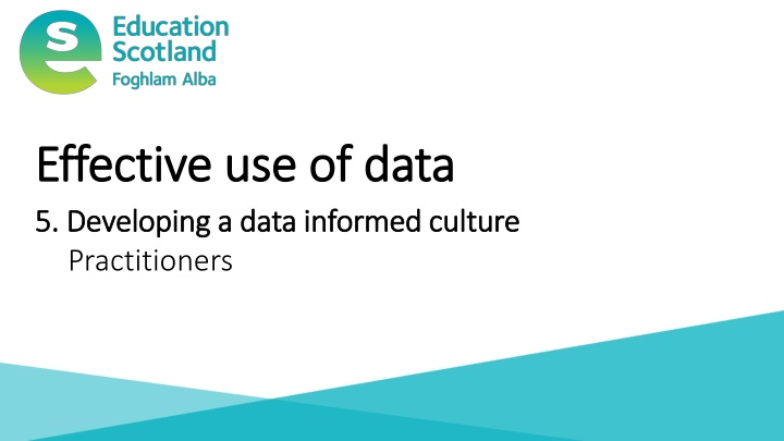 Cultivating an Effective Data Culture: Strategies and Insights