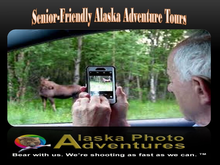 Senior-Friendly Alaska Adventure Tours