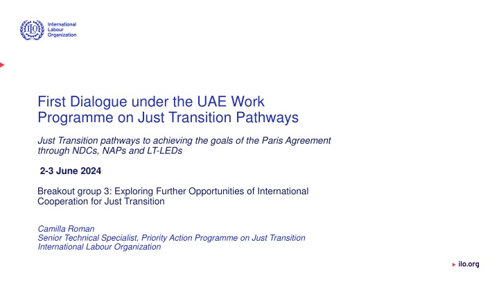 International Cooperation for Just Transition in Climate Policies