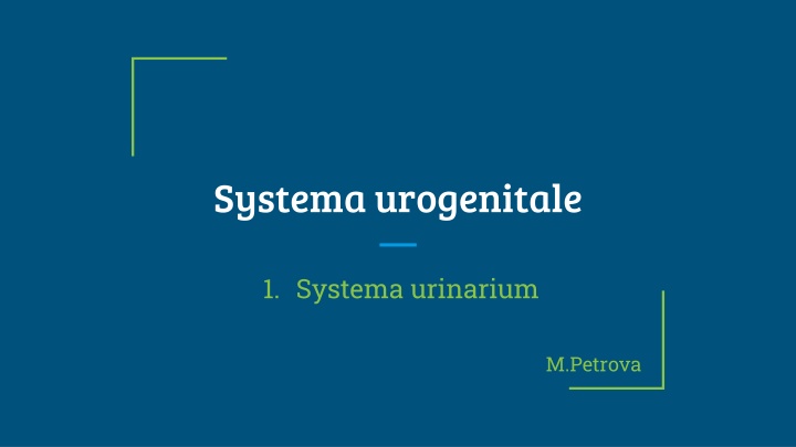 The Urinary System: Anatomical Structures and Terms
