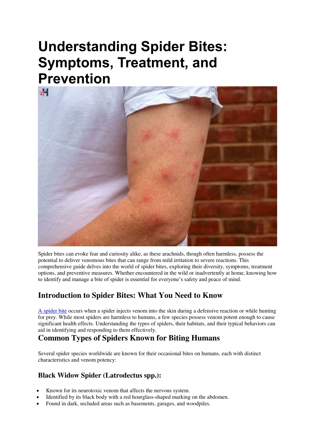 understanding spider bites symptoms treatment l.w