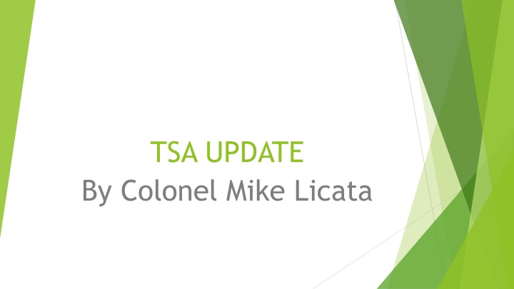 TSA Security Guidelines and Risk Reduction Strategies