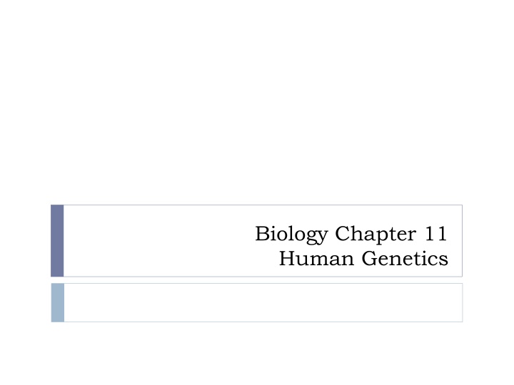 Overview of Human Genetic Disorders