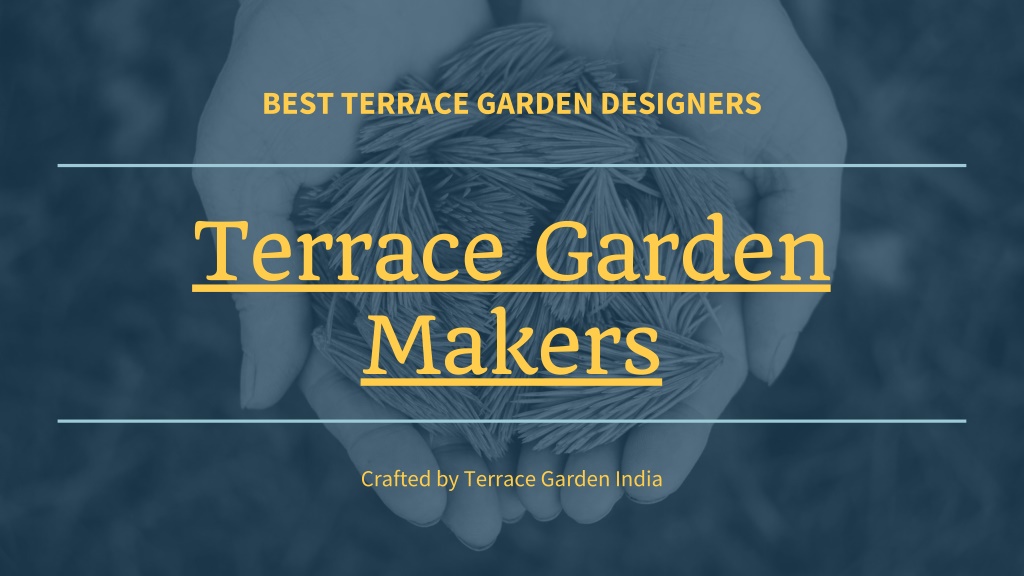 best terrace garden designers l.w