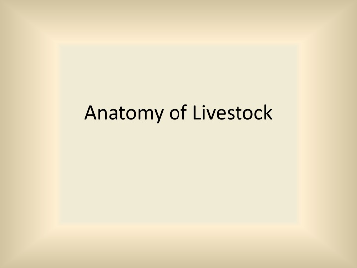Livestock Anatomy and Body Systems