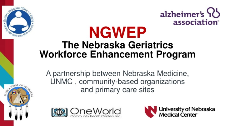 Optimizing Geriatric Pharmacotherapy: Challenges and Considerations