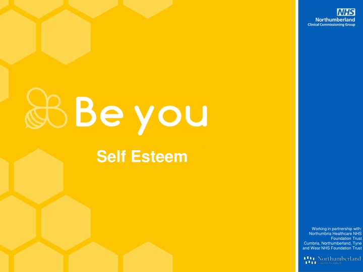 Self-Esteem and Ways to Improve It