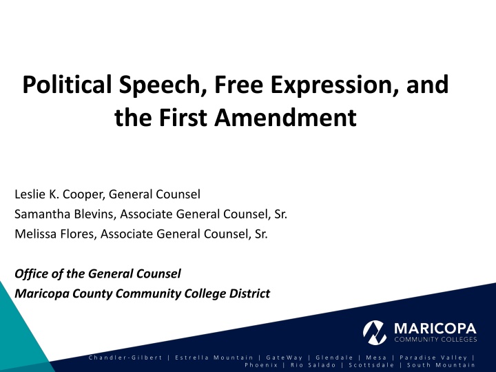Political Speech and Electoral Rules in Community College Districts
