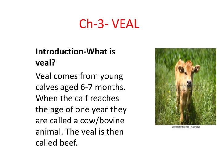 Veal: Types, Characteristics, Grading, and Cooking Methods