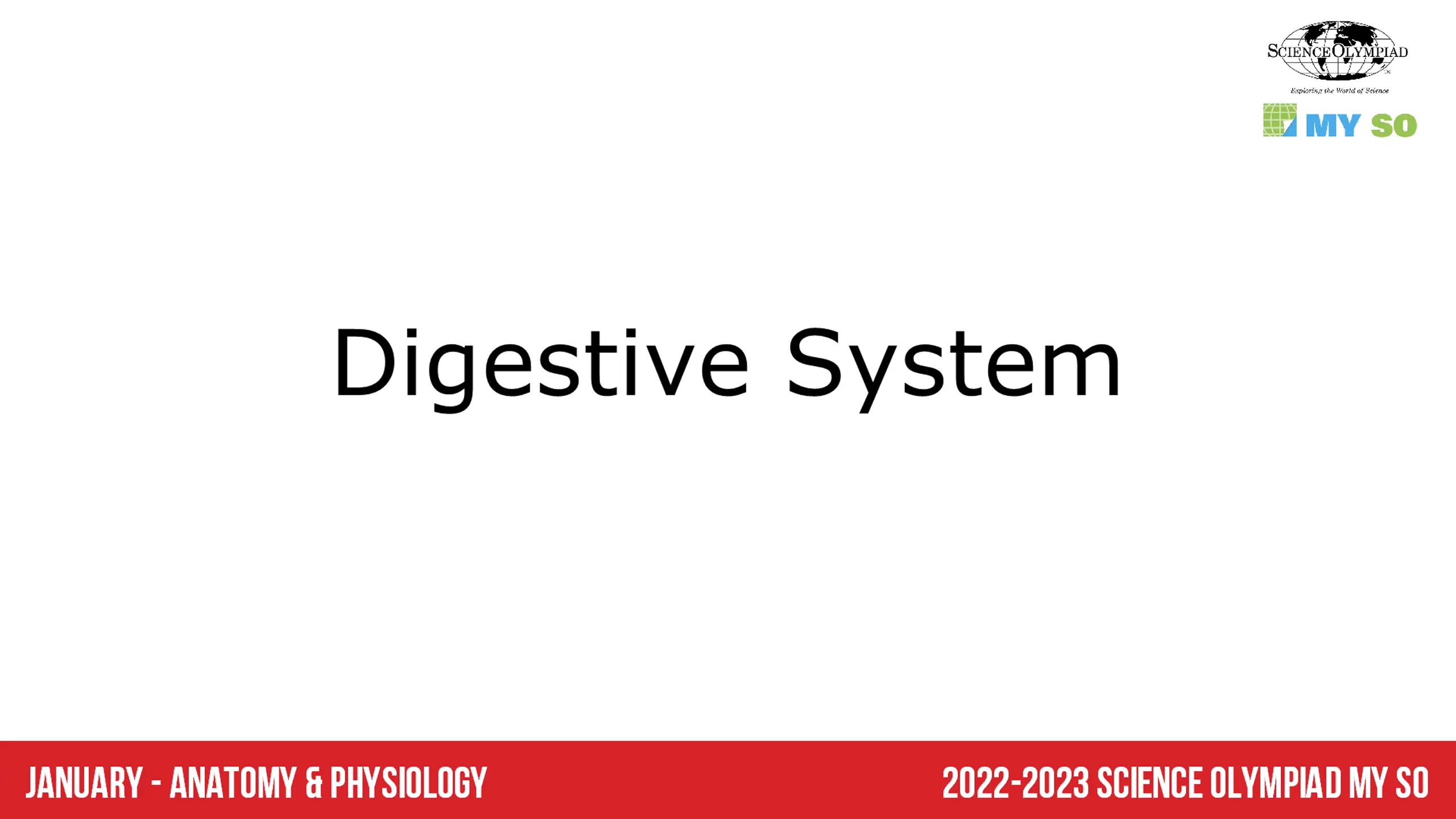 Digestive System