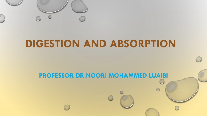 Digestion and Absorption in the Gastrointestinal Tract