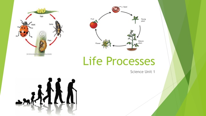 Seven Life Processes in Science