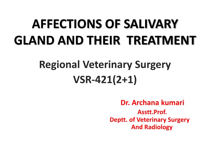 Affections of Salivary Glands in Veterinary Surgery: Overview and Treatment