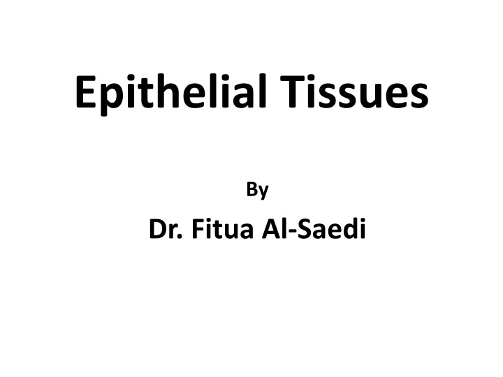 Epithelial Tissues: Types and Characteristics