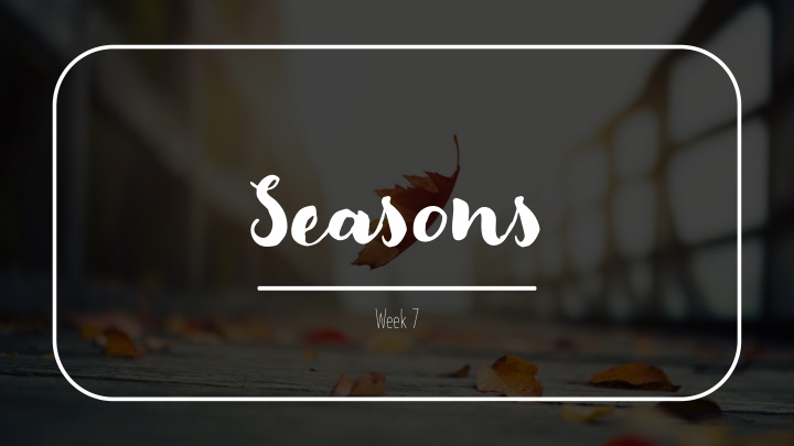 Four Seasons through Activities