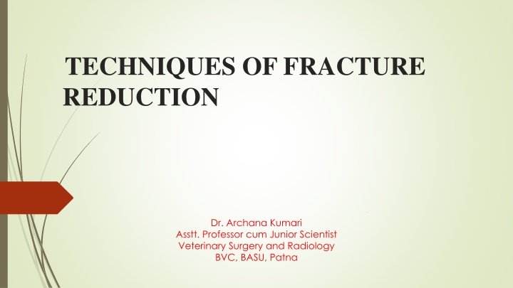 Techniques of Fracture Reduction in Veterinary Medicine