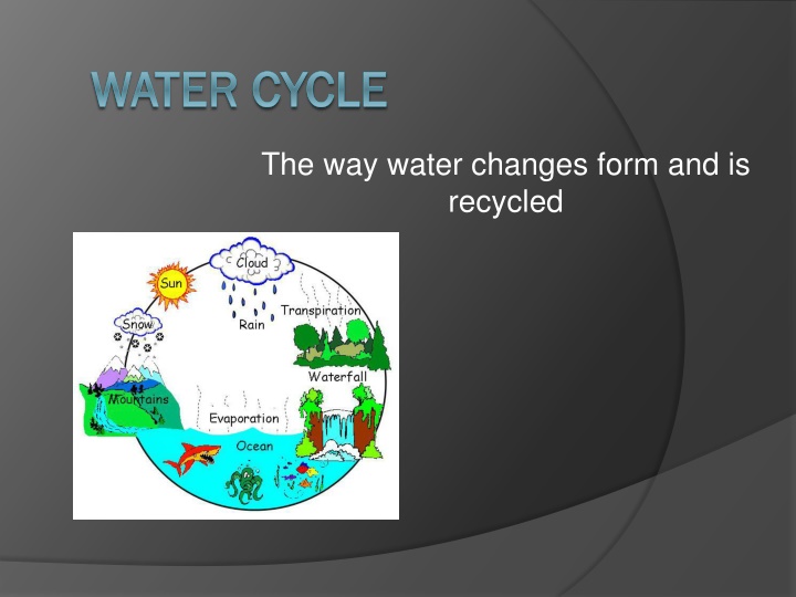 The Water Cycle and Environmental Conservation